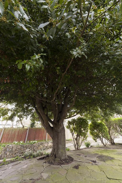 מלון Bay Tree ברודסטיירס מראה חיצוני תמונה